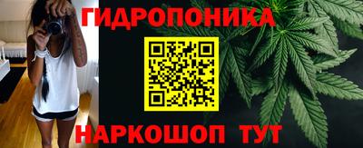 стаф Кунгур