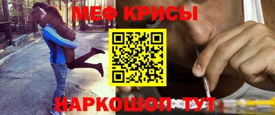 стаф Кунгур