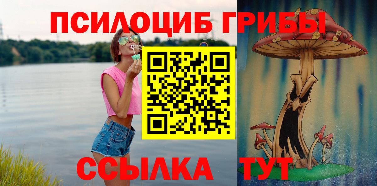 Галлюциногенные грибы Psilocybine cubensis Ялта