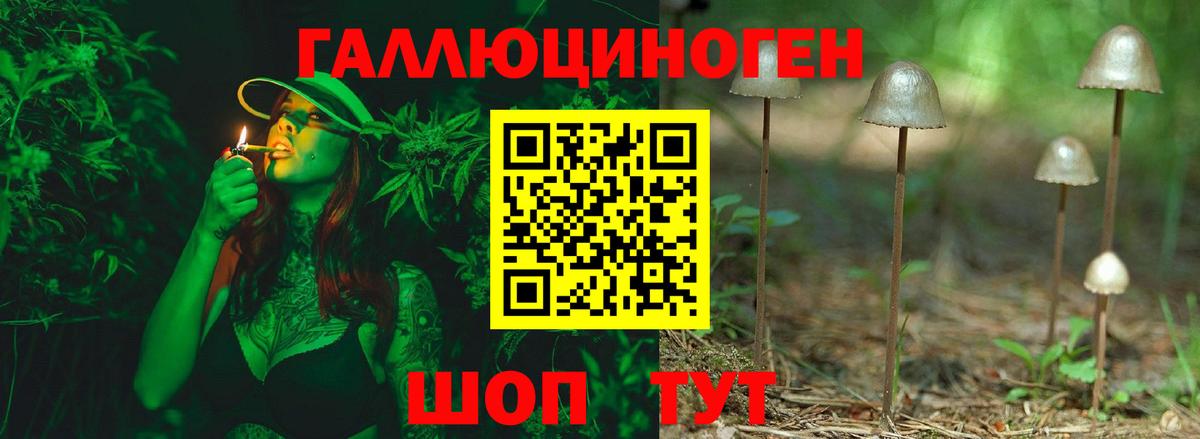 Галлюциногенные грибы Psilocybe  Вход с VPN  Галлюциногенные грибы мухоморы  Ялта 